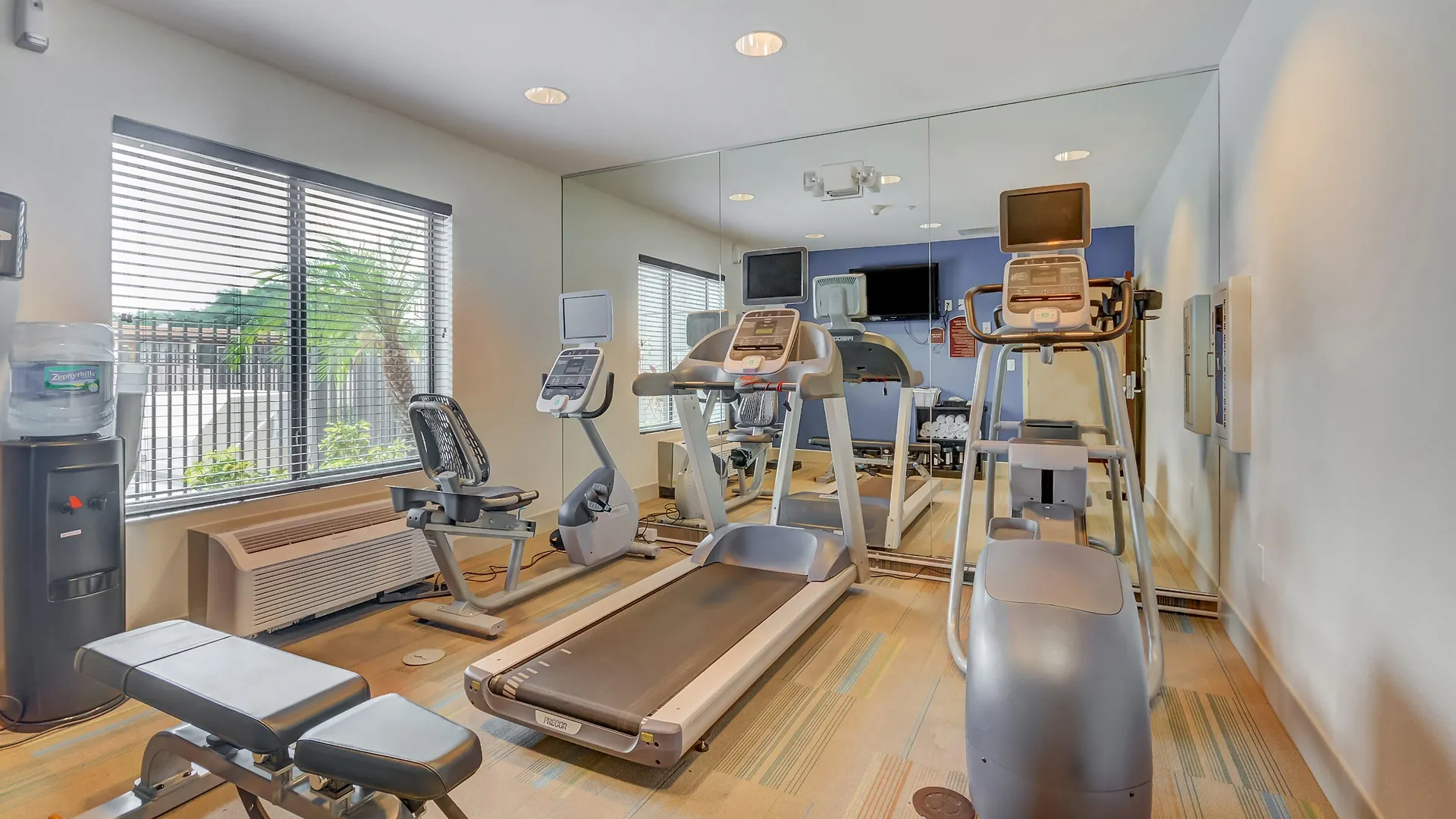 Holiday Inn Express Hotel&Suites Tampa-USF-Busch Gardens, an IHG Hotel