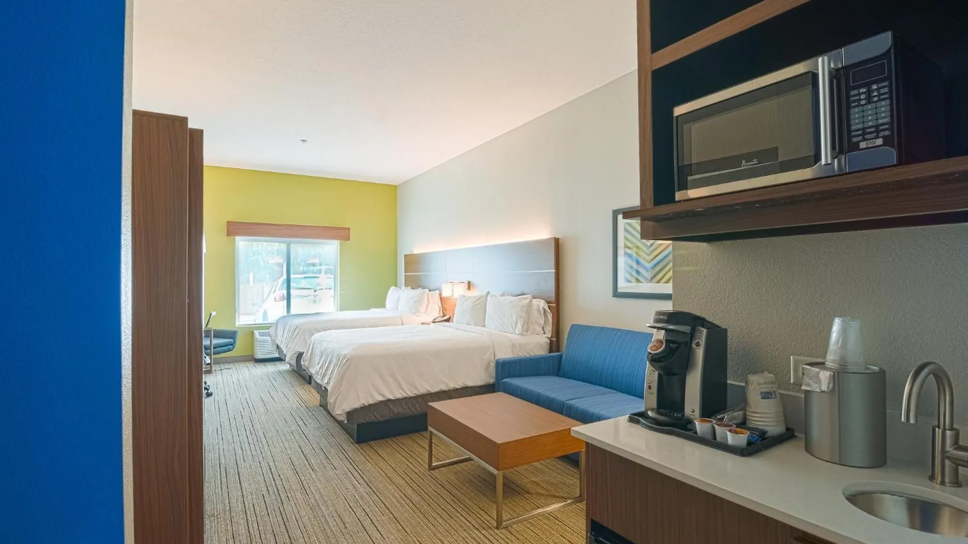 Holiday Inn Express Hotel&Suites Tampa-USF-Busch Gardens, an IHG Hotel