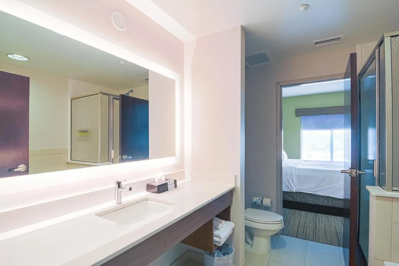 Holiday Inn Express Hotel & Suites Tampa-Usf-Busch Gardens By Ihg