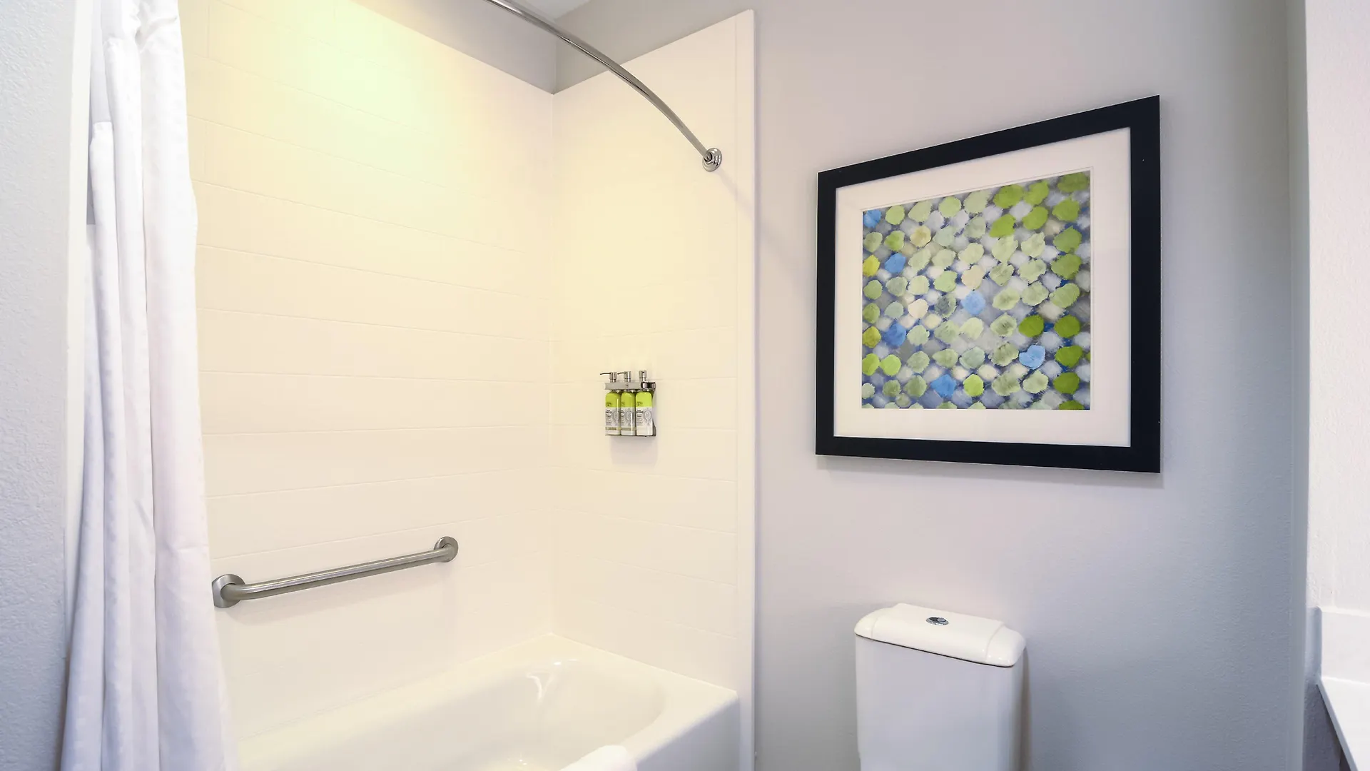 Holiday Inn Express Hotel & Suites Tampa-Usf-Busch Gardens By Ihg
