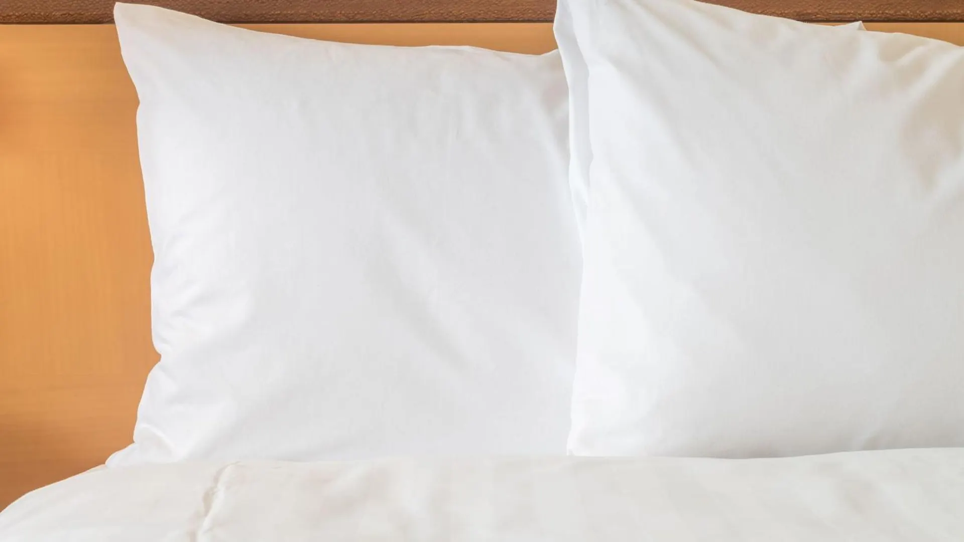 Holiday Inn Express Hotel & Suites Tampa-Usf-Busch Gardens By Ihg Tampa