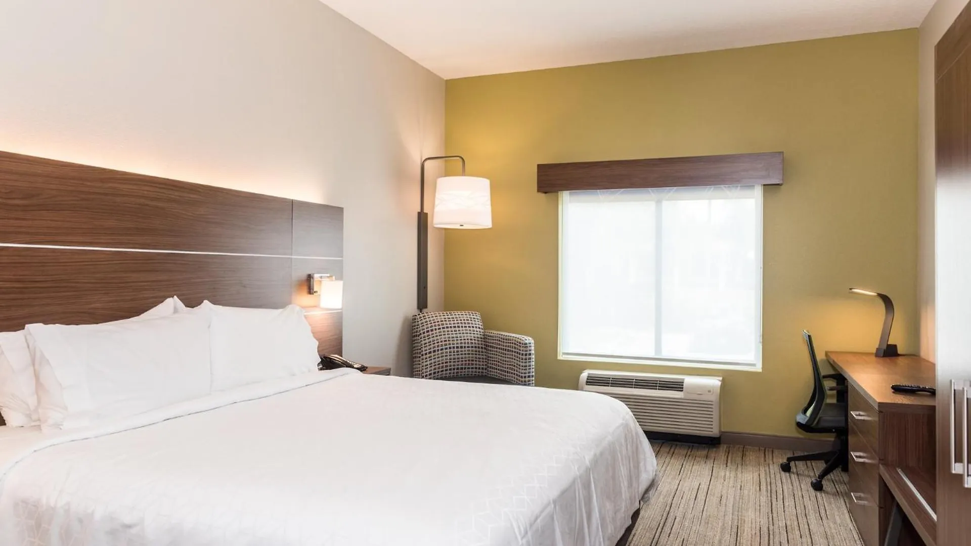 Holiday Inn Express Hotel & Suites Tampa-Usf-Busch Gardens By Ihg  Tampa