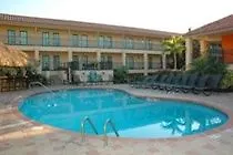 Holiday Inn Express Hotel & Suites Tampa-Usf-Busch Gardens By Ihg