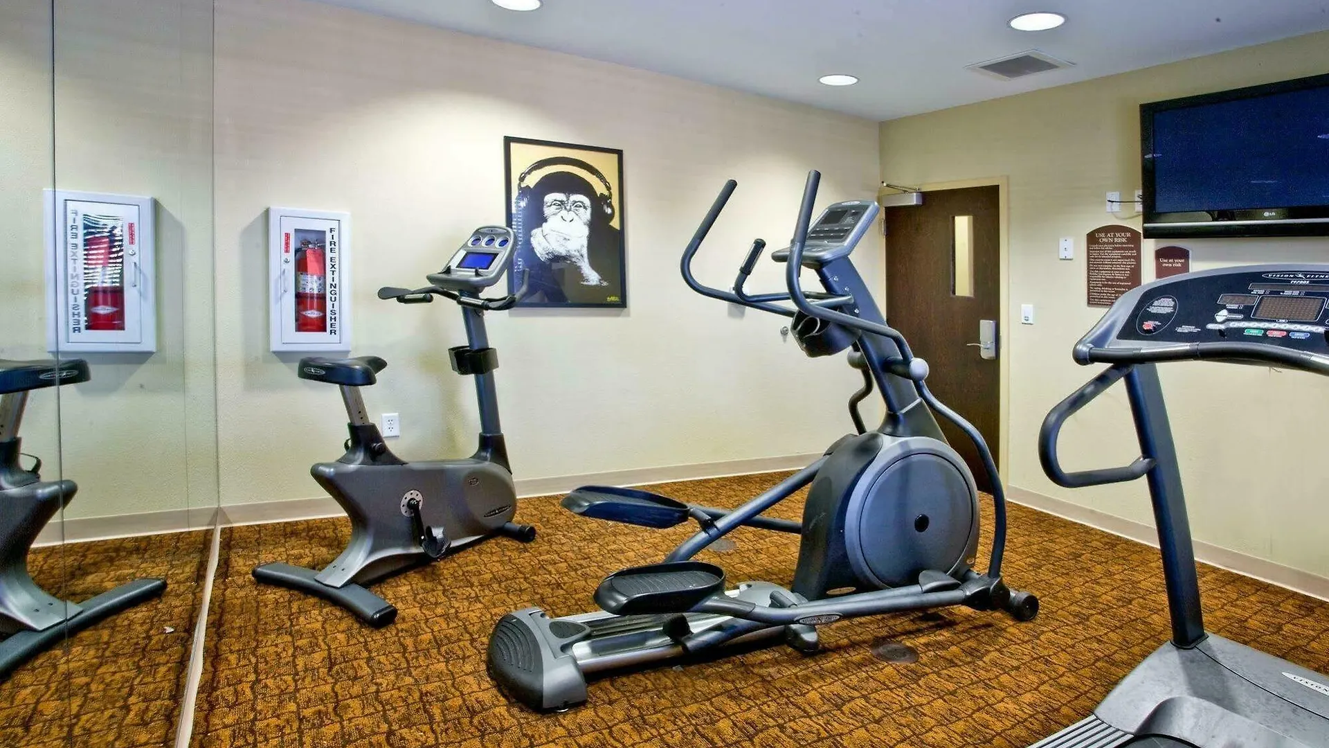 Holiday Inn Express Hotel & Suites Tampa-Usf-Busch Gardens By Ihg Tampa