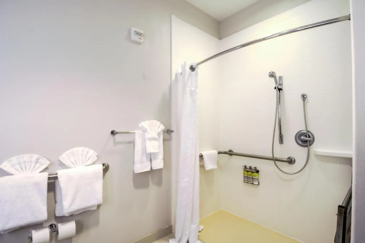 **  Holiday Inn Express Hotel & Suites Tampa-Usf-Busch Gardens By Ihg Estados Unidos da América